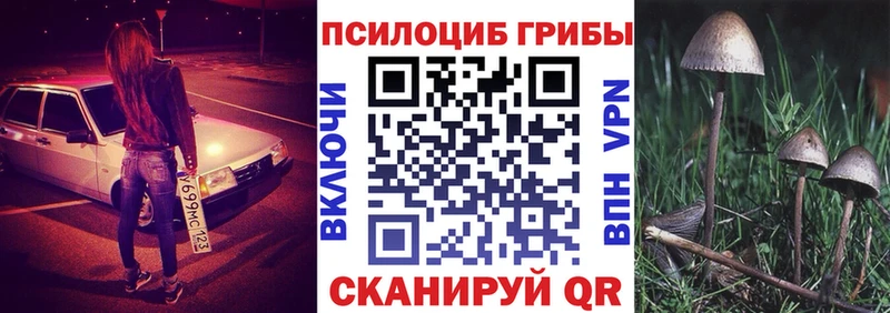 Купить где  Верхотурье  Галлюциногенные грибы мицелий 